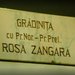 Rosa Zangara - Gradinita